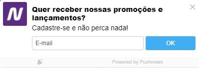 Exemplo notificação LGPD netshoes
